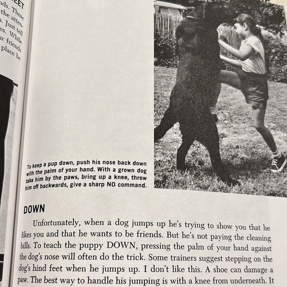 Family Dog by Richard A. Wolters HC/DJ 1975 Book - Picture 12 of 16